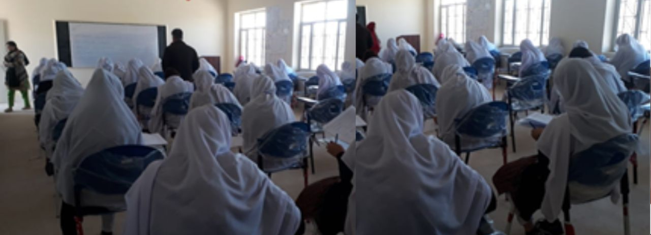 Untitled design (33)