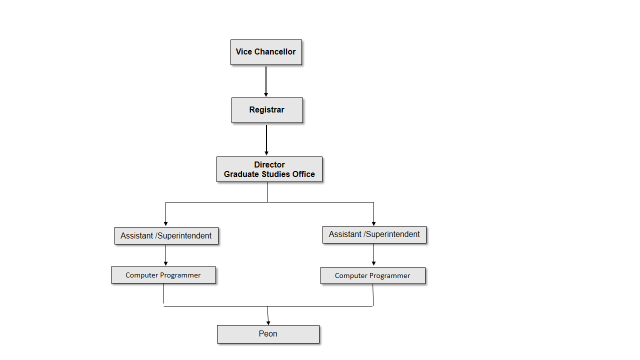 GSO organization chart