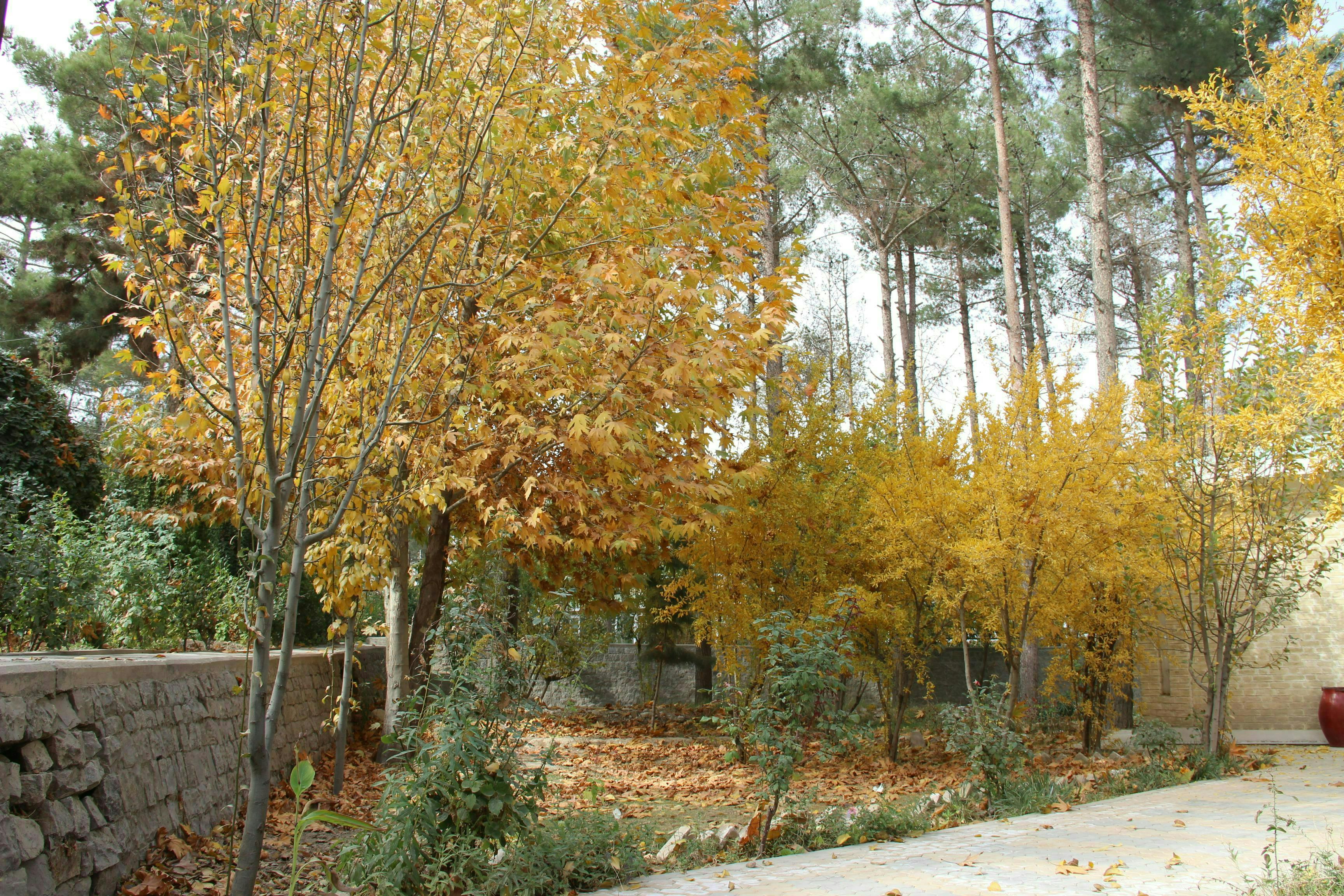 Seasons SBKWU seasons-sbkwu
