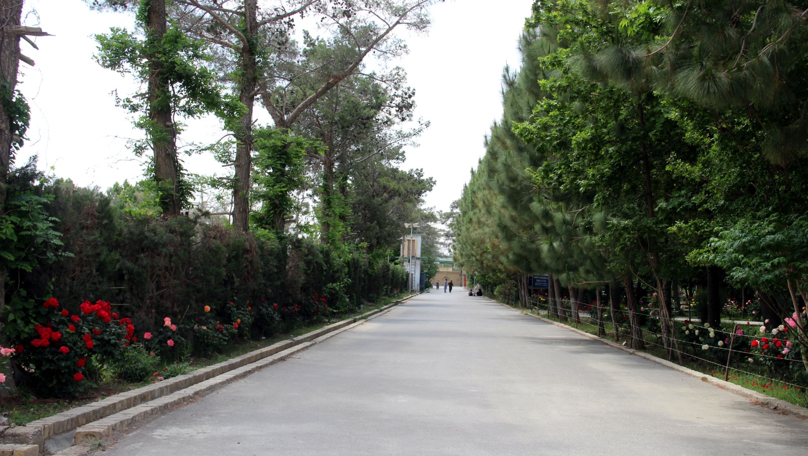 Spring @ SBKWU